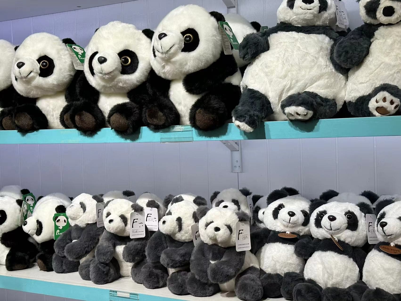 PandaBase-souvenir