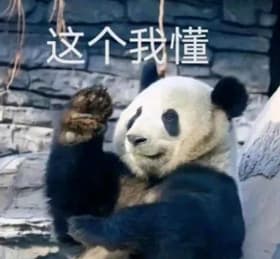 i-know-that-panda
